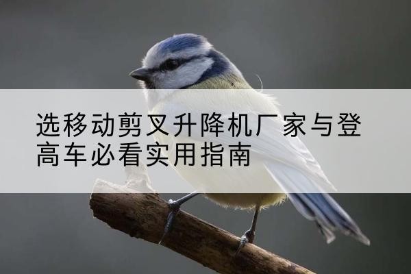 新巴尔虎左旗电动升降机厂家-选移动剪叉升降机厂家与登高车必看实用指南