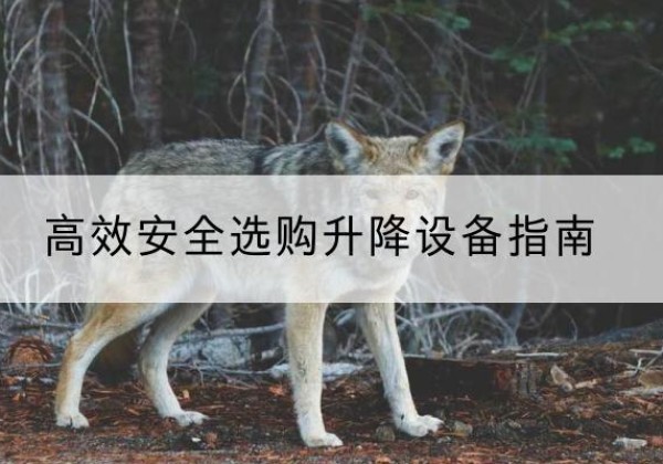 新巴尔虎左旗升降货梯厂家推荐-*安全选购升降设备指南