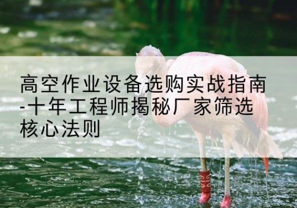 新巴尔虎左旗剪叉式升降机厂家-高空作业设备选购实战指南-十年工程师揭秘厂家筛选核心法则